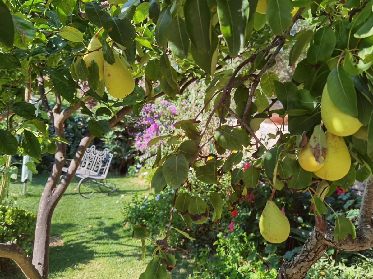 Il Giardino Di Tatiana & Breakfast La Maddalena (Sassari)