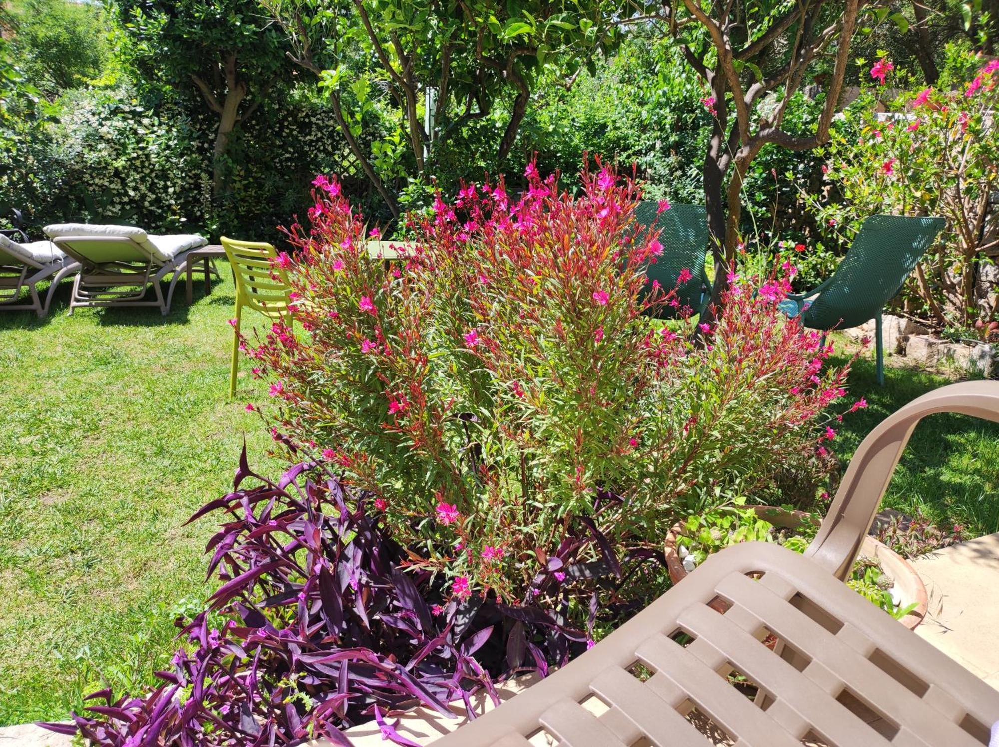 Il Giardino Di Tatiana & Breakfast Bed & Breakfast La Maddalena (Sassari)