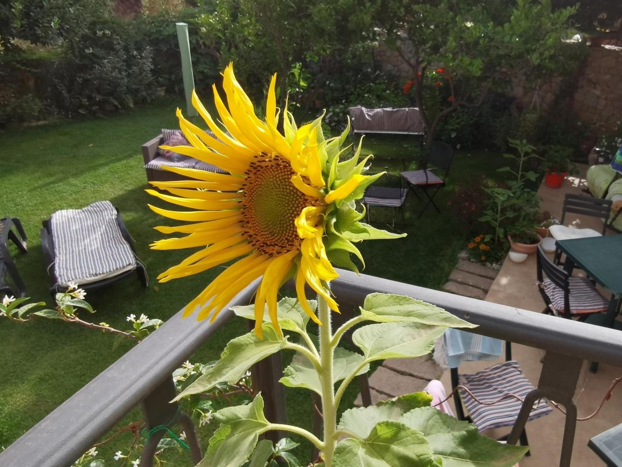 Couette-café Il Giardino Di Tatiana & Breakfast *