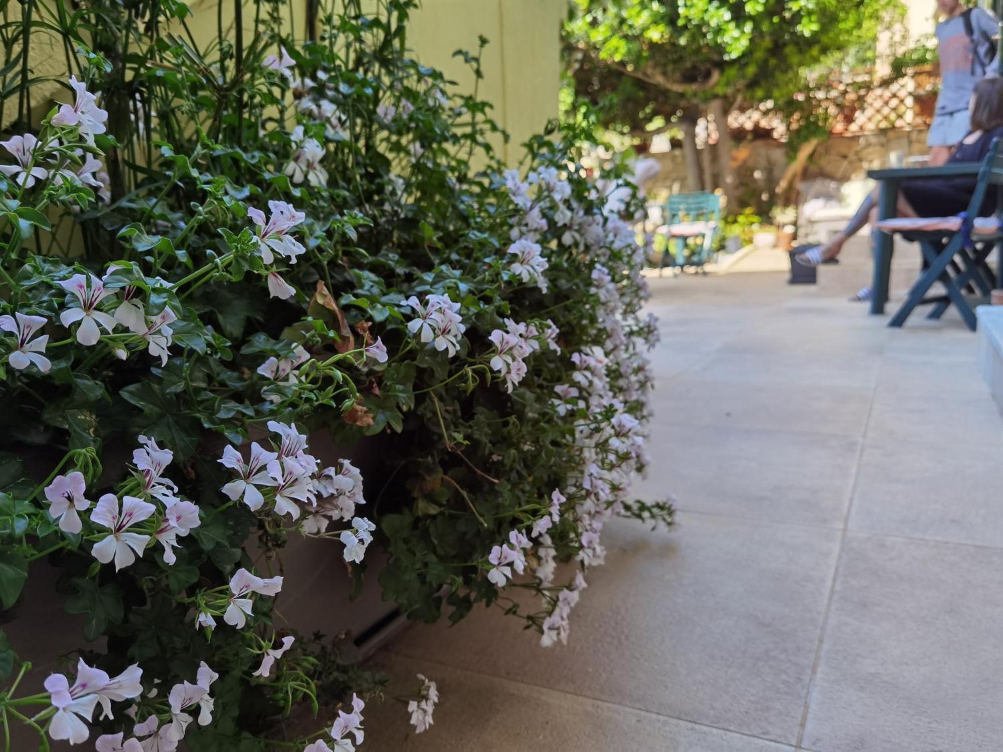 Couette-café Il Giardino Di Tatiana & Breakfast *