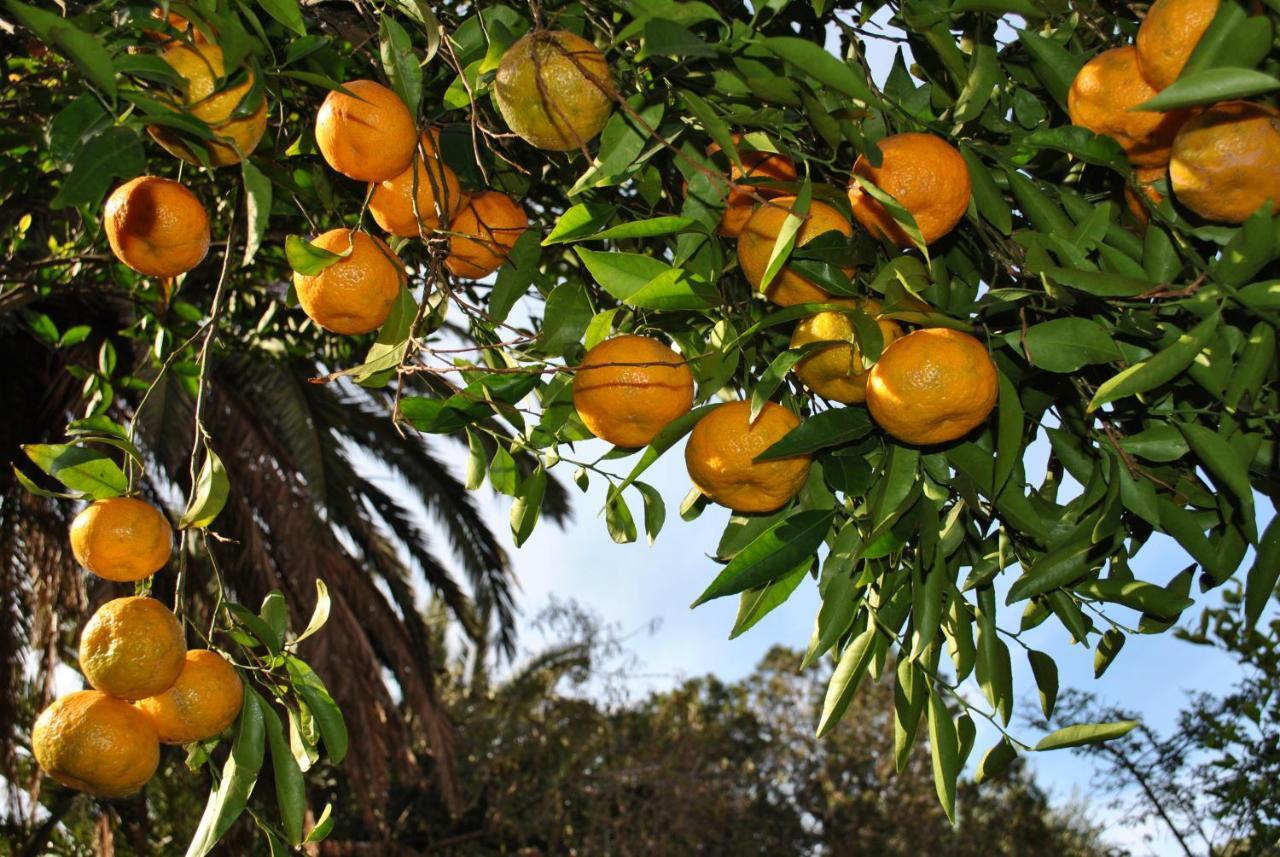Bed & Breakfast Il Giardino Di Tatiana & Breakfast La Maddalena (Sassari)
